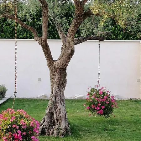 Villa Roza